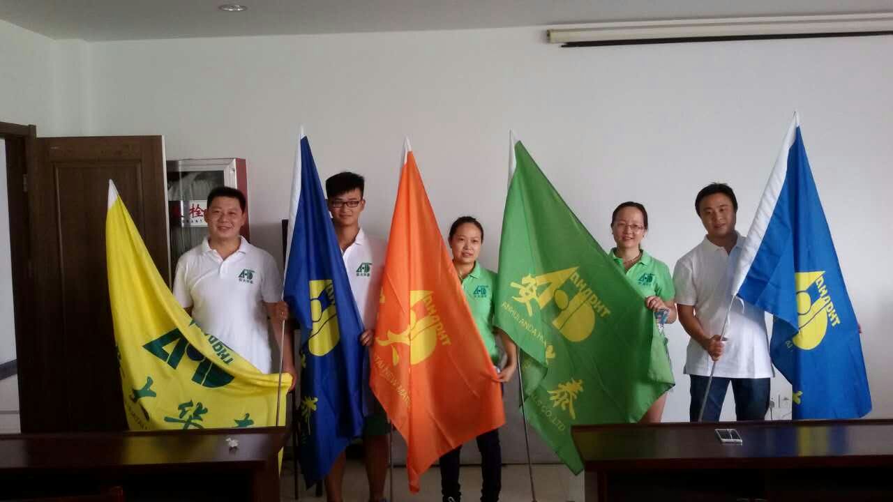 安徽安大華泰集體登山