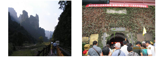 安徽安大華泰新材料有限公司集體旅行之張家界