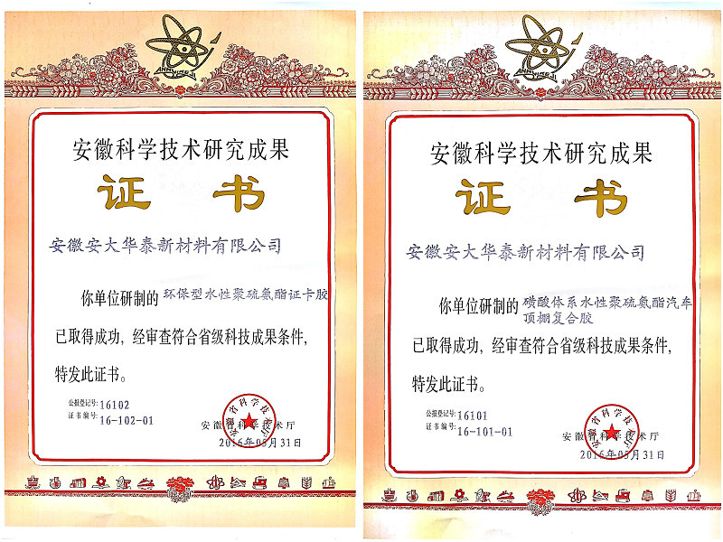 安徽省科學(xué)技術(shù)研究成果證書(shū)