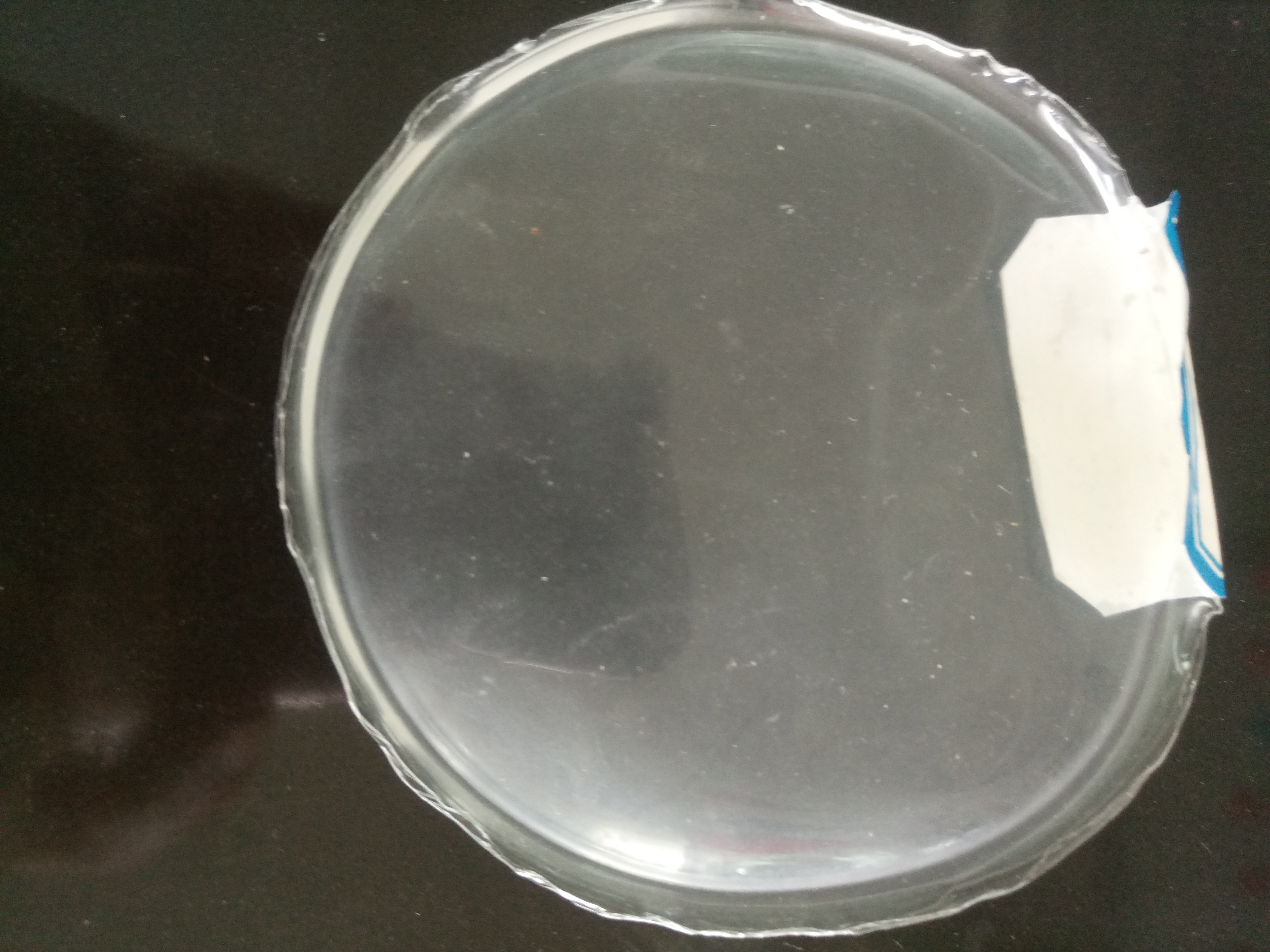 水性聚氨酯樹脂薄膜