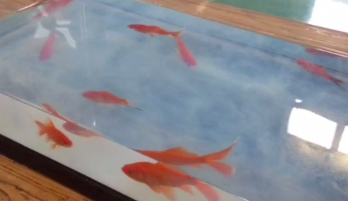 水性聚氨酯樹脂養(yǎng)金魚 水性聚氨酯樹脂養(yǎng)金魚