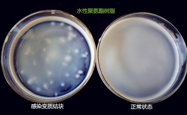 水性聚氨酯樹脂受微生物的影響結(jié)果對比，水性樹脂