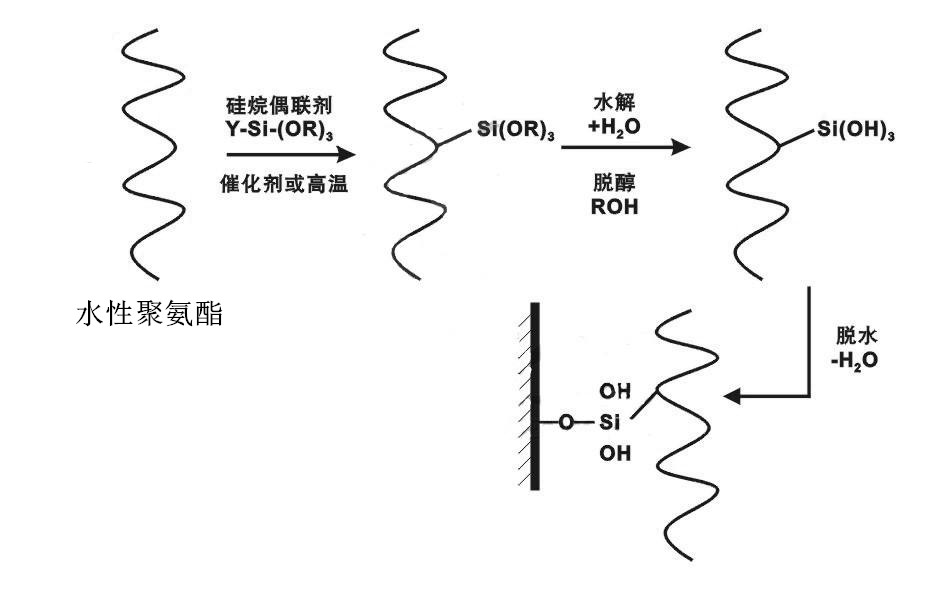 硅烷偶聯(lián)劑對水性聚氨酯附著力提升的原理圖