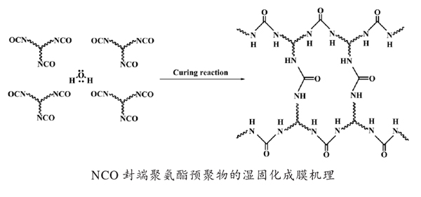 NCO封端聚氨酯預(yù)聚物的濕固化成膜機理