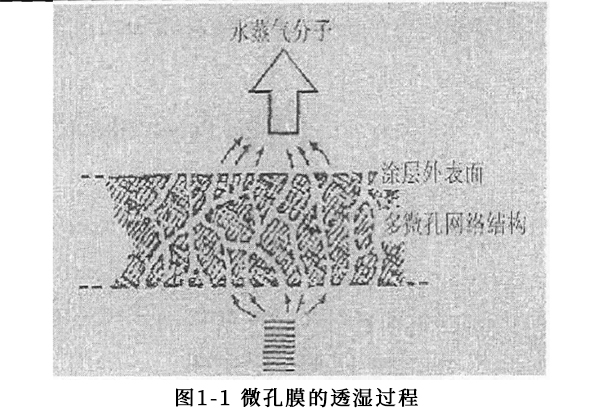 微孔膜的透濕過(guò)程