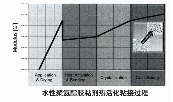 水性聚氨酯熱活化膠示意圖 水性聚氨酯熱活化膠示意圖